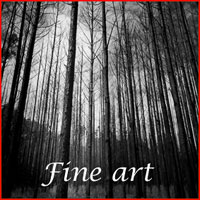 Fine Art